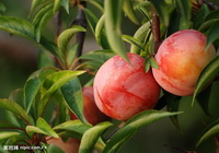 200882283722724_2.jpg