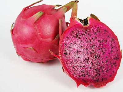 火龍果采摘